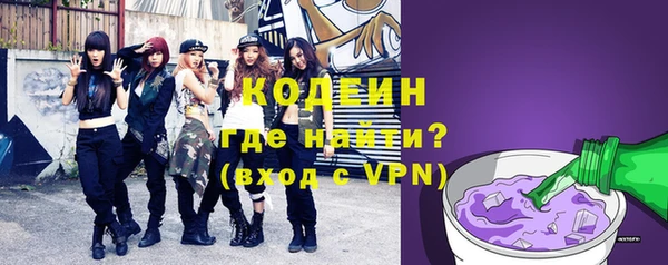 индика Лиски